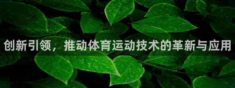风速体育nba直播