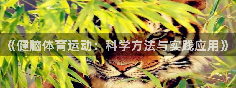 风速体育直播app