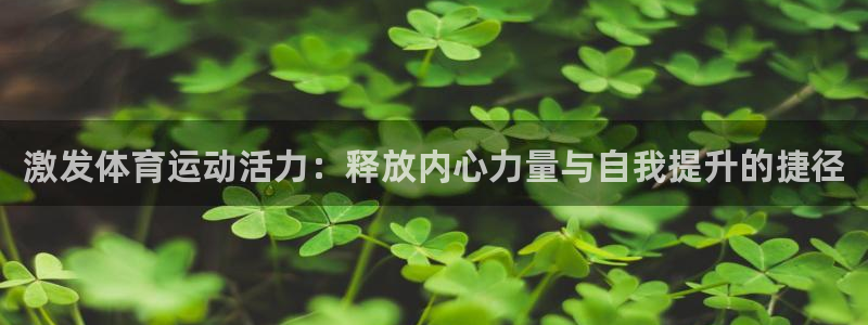 风速体育app官方下载