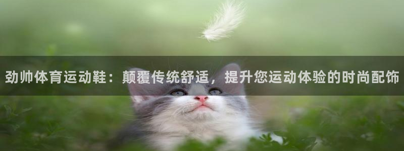 风速体育