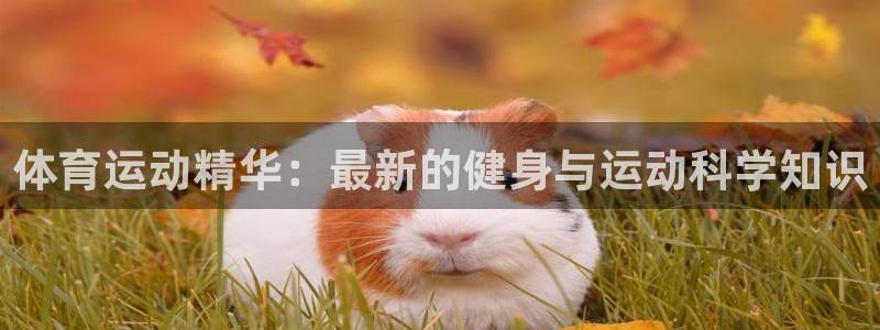 风速体育app下载官网最新版