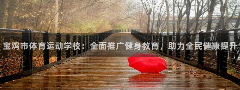 风速体育