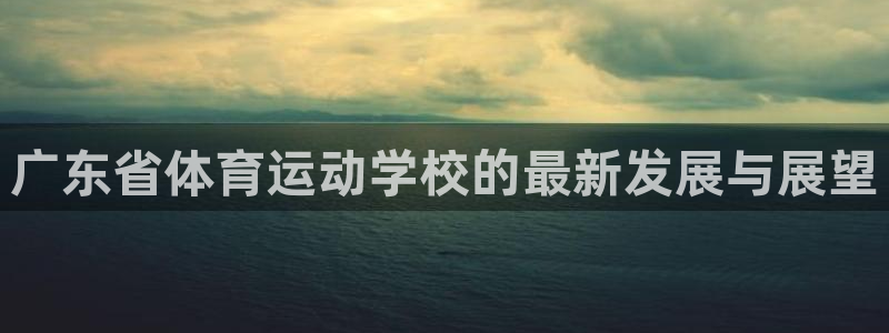 风速体育app下载安装最新版本