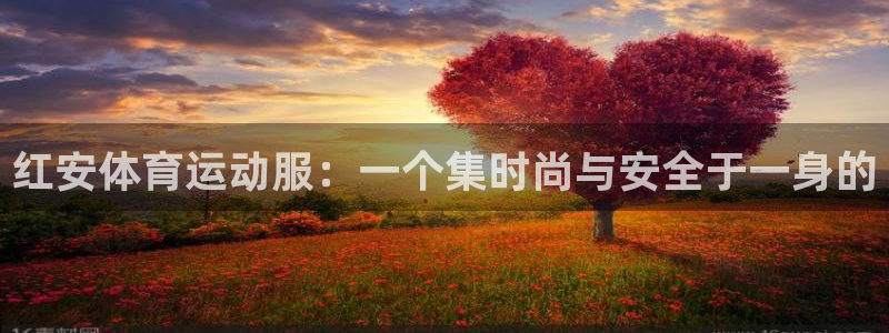 风速体育