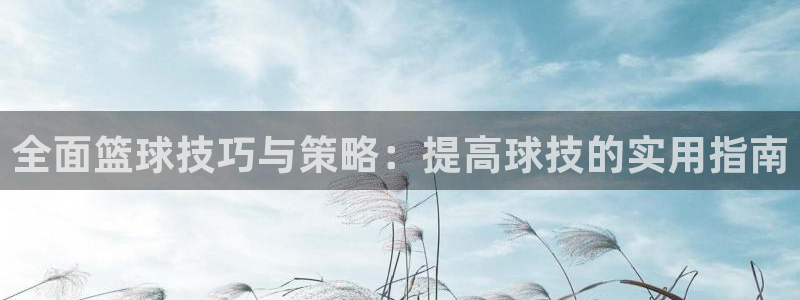 风速体育app官方下载