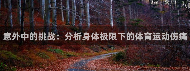风速体育直播