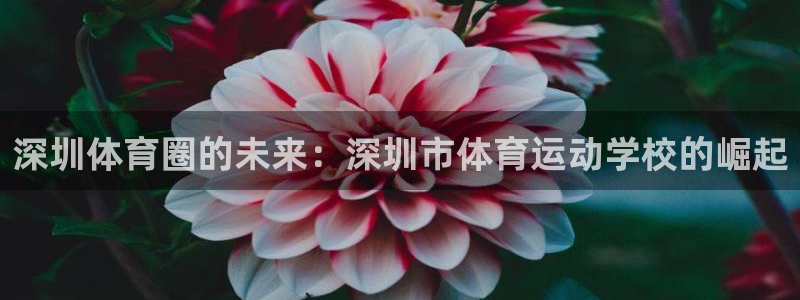 风速体育