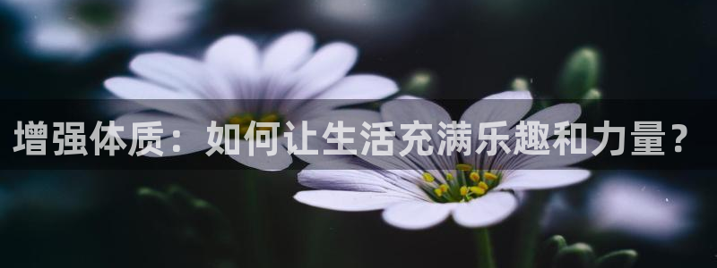 风速体育nba免费直播
