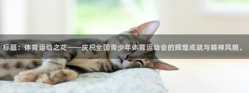 下载风速体育