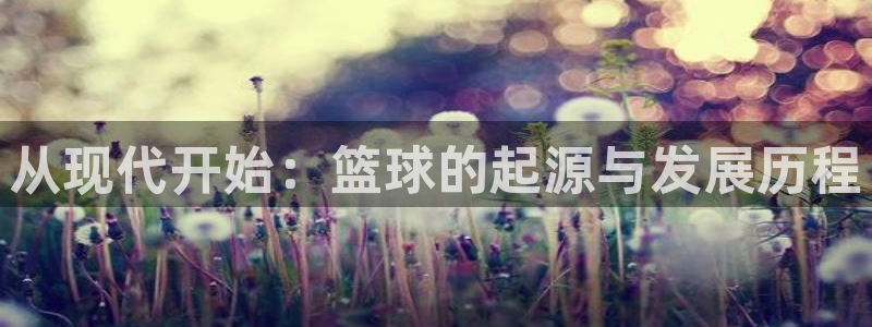 风速体育