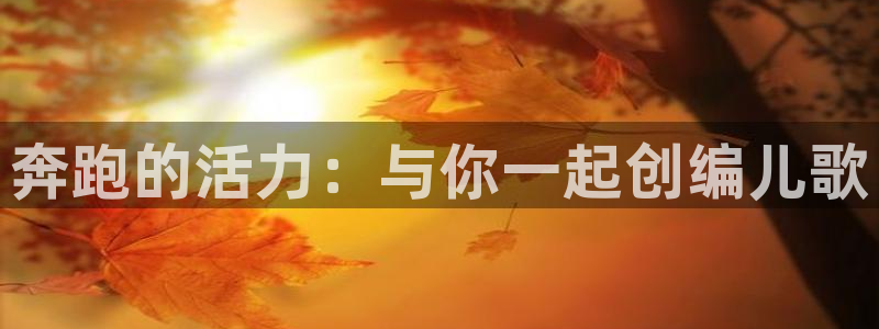风速体育
