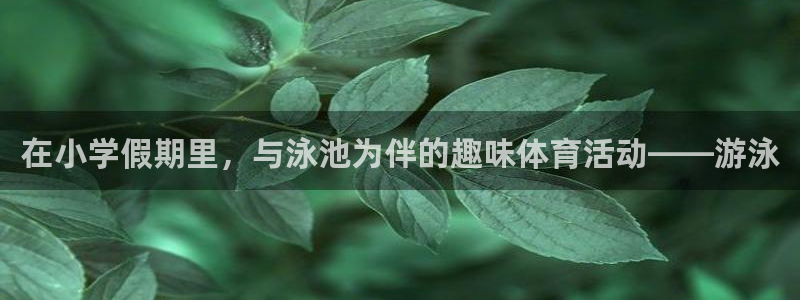 风速体育app下载安装最新版本