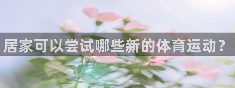 风速体育nba直播