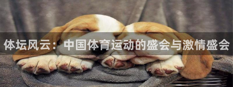风速体育nba直播