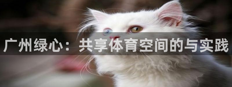 风速体育nba直播