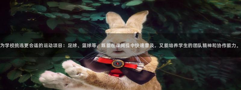 风速体育直播app